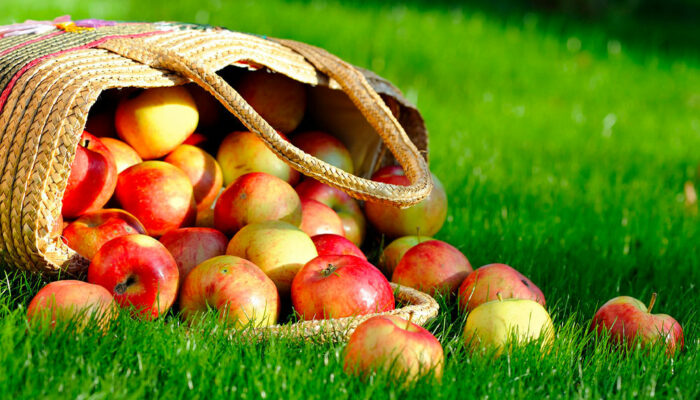 3 foods that help manage thyroid cancer